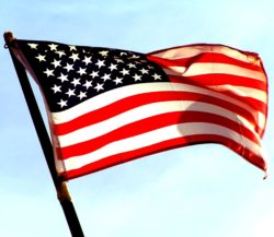 Veteran's Day USA flag