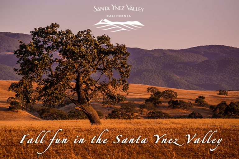 Fall fun in the Santa Ynez Valley Official Tourism Site of The Santa Ynez Valley VisitSYV