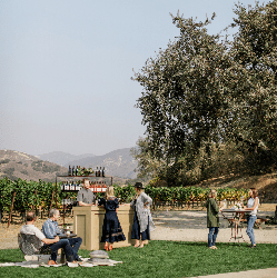 Zaca Mesa Winery