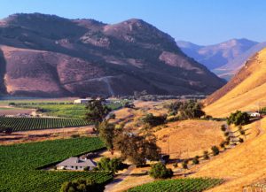 Santa Maria Valley AVA