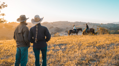 Santa Ynez Wine Tours and Guided Tours of Santa Ynez Valley