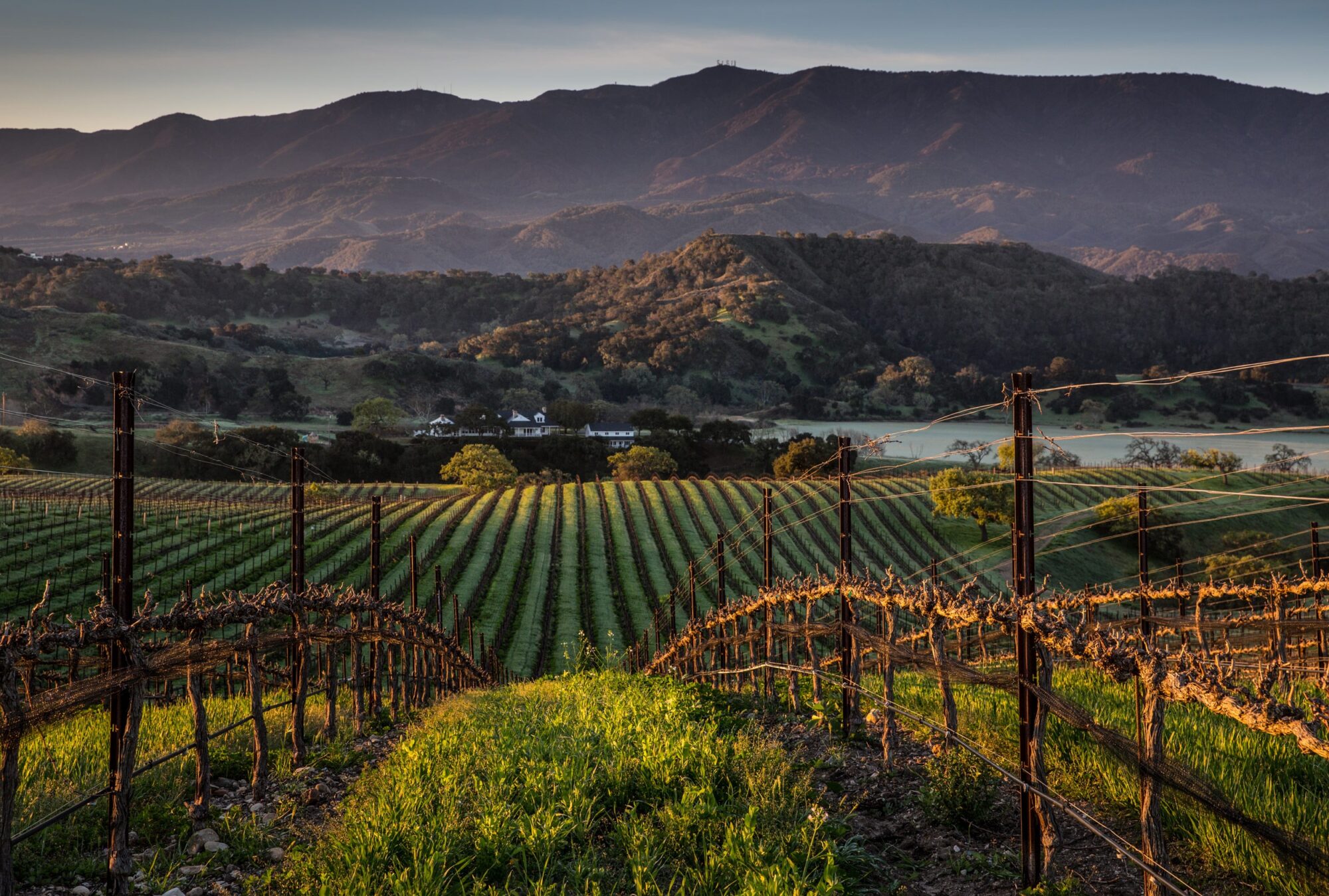 Continuing Membership Santa Ynez Valley
