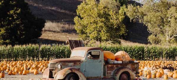 fall-events-santa-ynez-valley