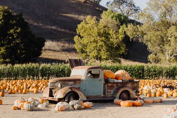 Fall Activities in Santa Ynez Valley