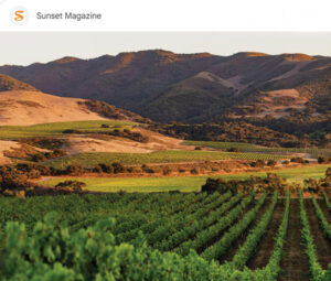 sunset-magazine-taste-of-the-santa-ynez-valley