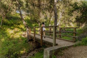 hiking in Santa Ynez Valley