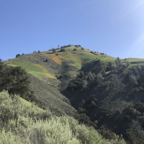 Grass Mountain Trail