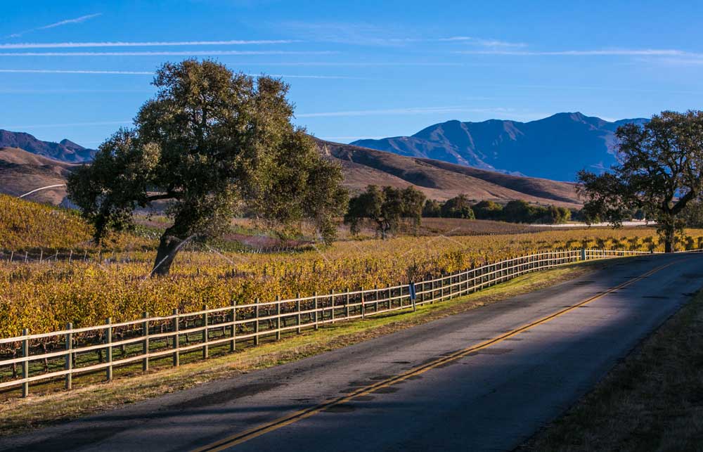 Santa Ynez To Santa Barbara