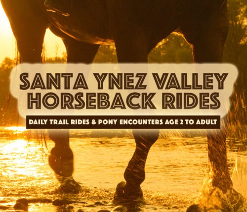 Santa Ynez Valley Horseback Rides