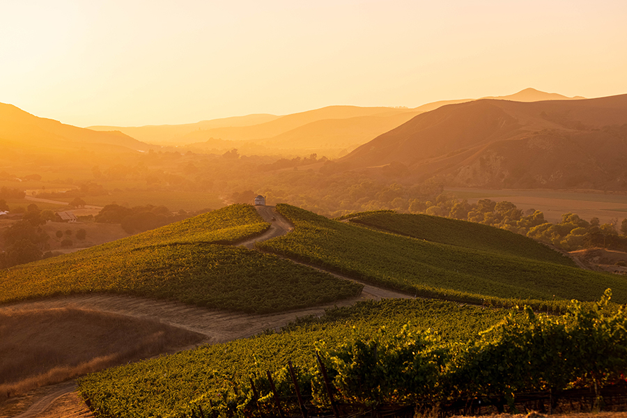 Peake-Winery-Sunset-in-the-Sta Rita Hills