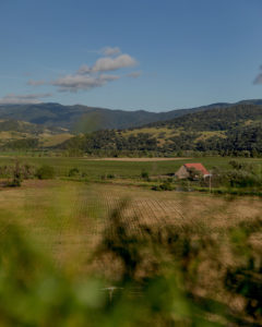 The Santa Ynez Valley Is One Of The Places to Travel