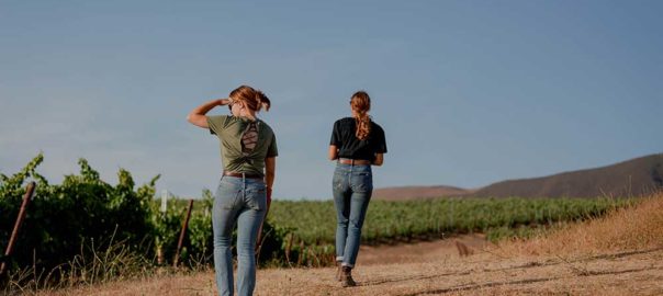 Women Owned Wineries In Santa Ynez Valley