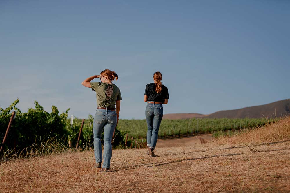 Women Owned Wineries In Santa Ynez Valley
