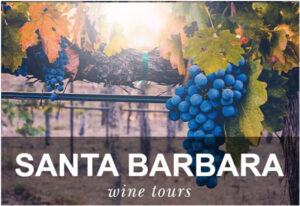 grapeline-santa-barbara-wine-tours