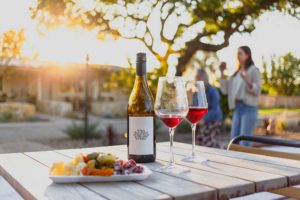 Wine Tasting in the vineyard