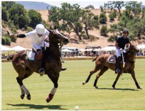 polo-classic - June Fun in the Santa Ynez Valley
