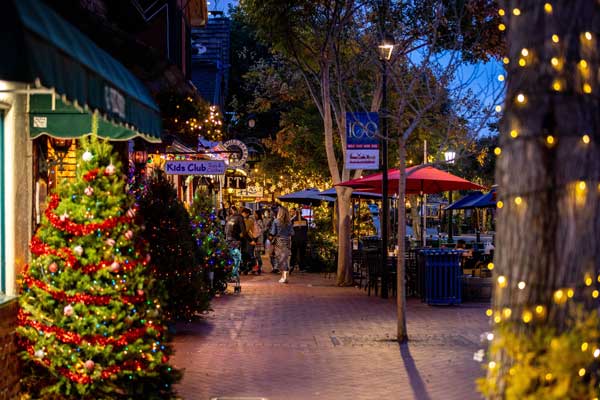 Businesses Open for Christmas Holidays
