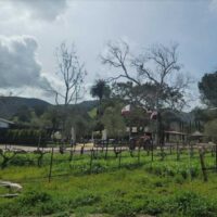 vega-vineyard-farm-near-solvang