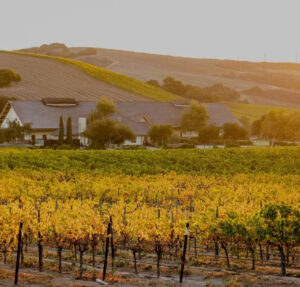 foley-estates-vineyard-winery