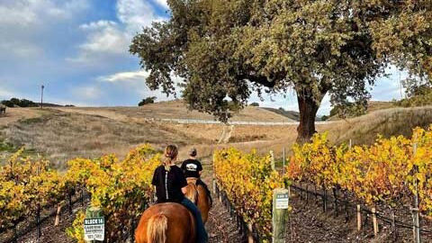 Horseback-riding_Vino-Vaqueros near Solvang