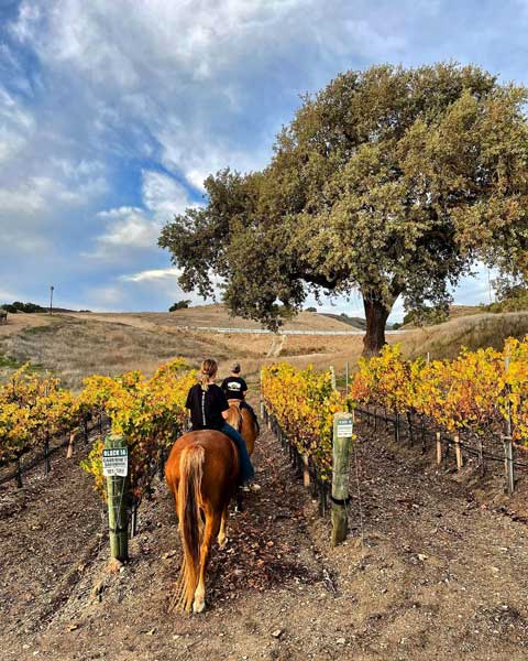 Horseback-riding_Vino-Vaqueros near Solvang