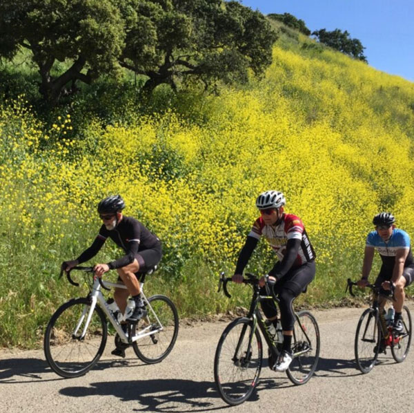 Solvang Century Bike Ride Santa Ynez Valley Events