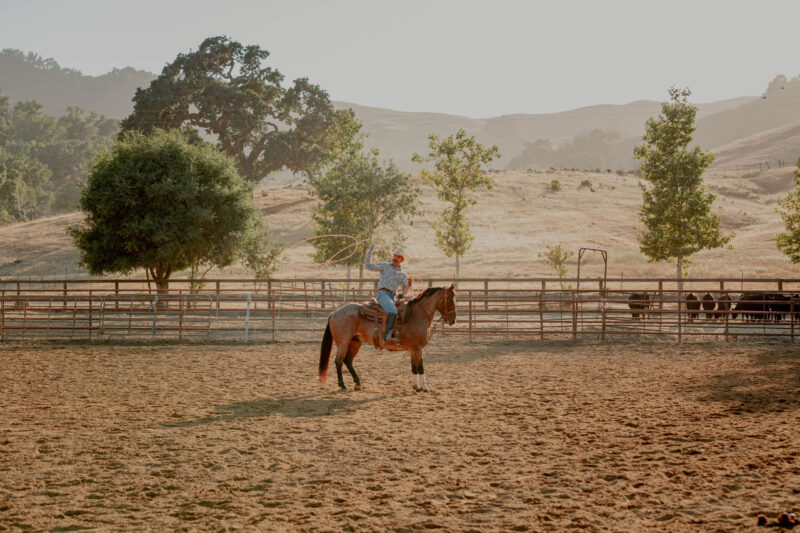 Rancher performing in rodeo at Alisal Ranch, a luxury dude ranch resort