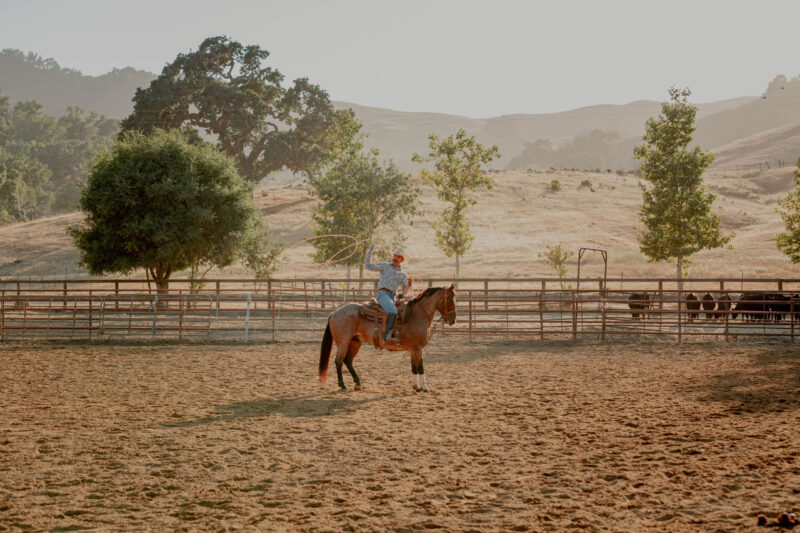 Rancher performing in rodeo at Alisal Ranch, a luxury dude ranch resort, luxury guide santa Ynez Valley
