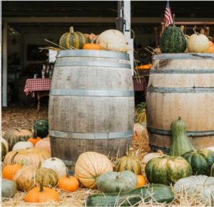 Summerset-Farm-Pumpkin-Patch