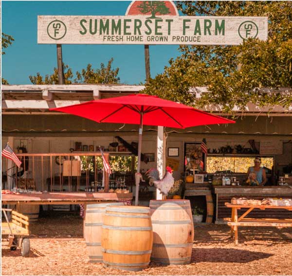 Summerset-Farm-general-store
