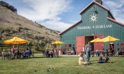 Dierberg & Star Lane Vineyards