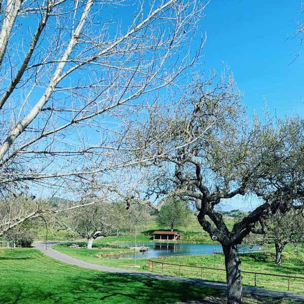 Dovecote Estate Winery & Ranch