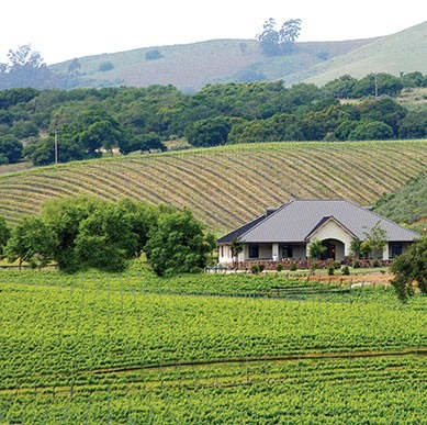 Foley Estates Vineyards