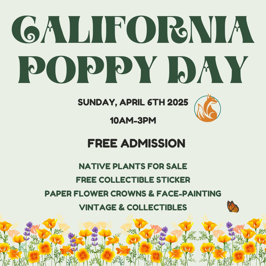 Enjoy free admission to the California Nature Art Museum for California Poppy Day 2025,