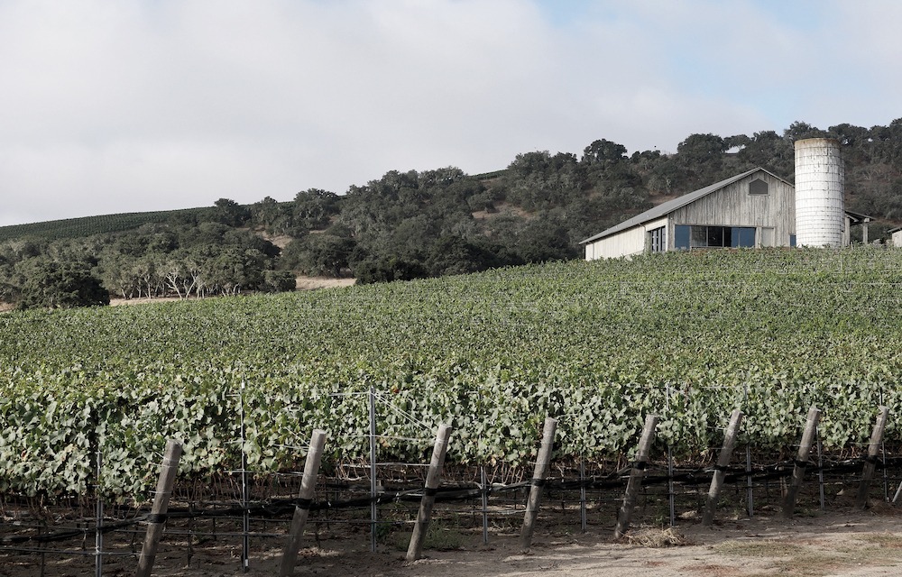 Spear Winery