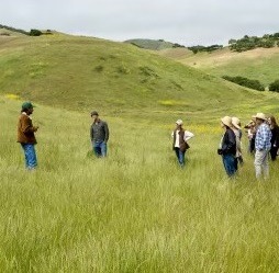 Las Cumbres Ranch