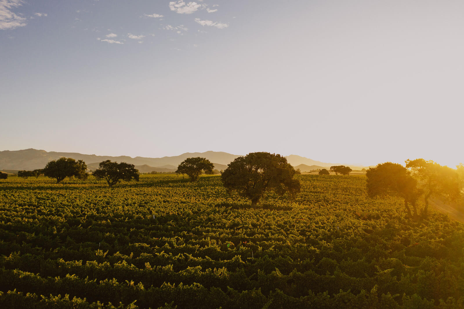 Camp sunrise in the Santa Ynez Valley