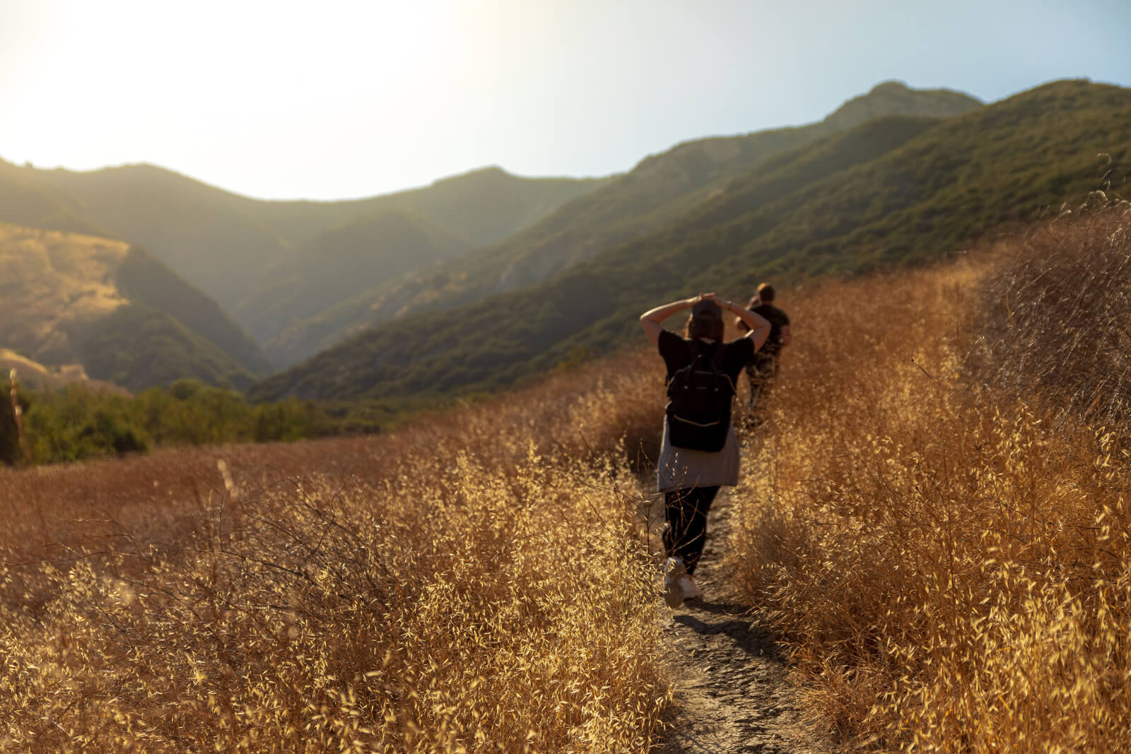Hikers in mountains in the Santa Ynez Valley