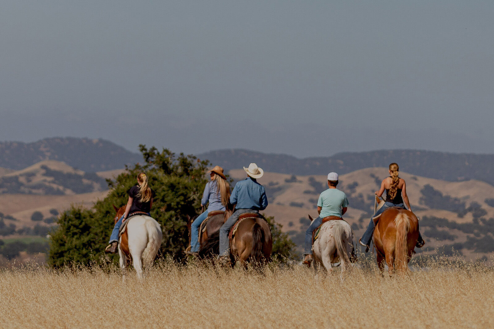 Five people horseback riding