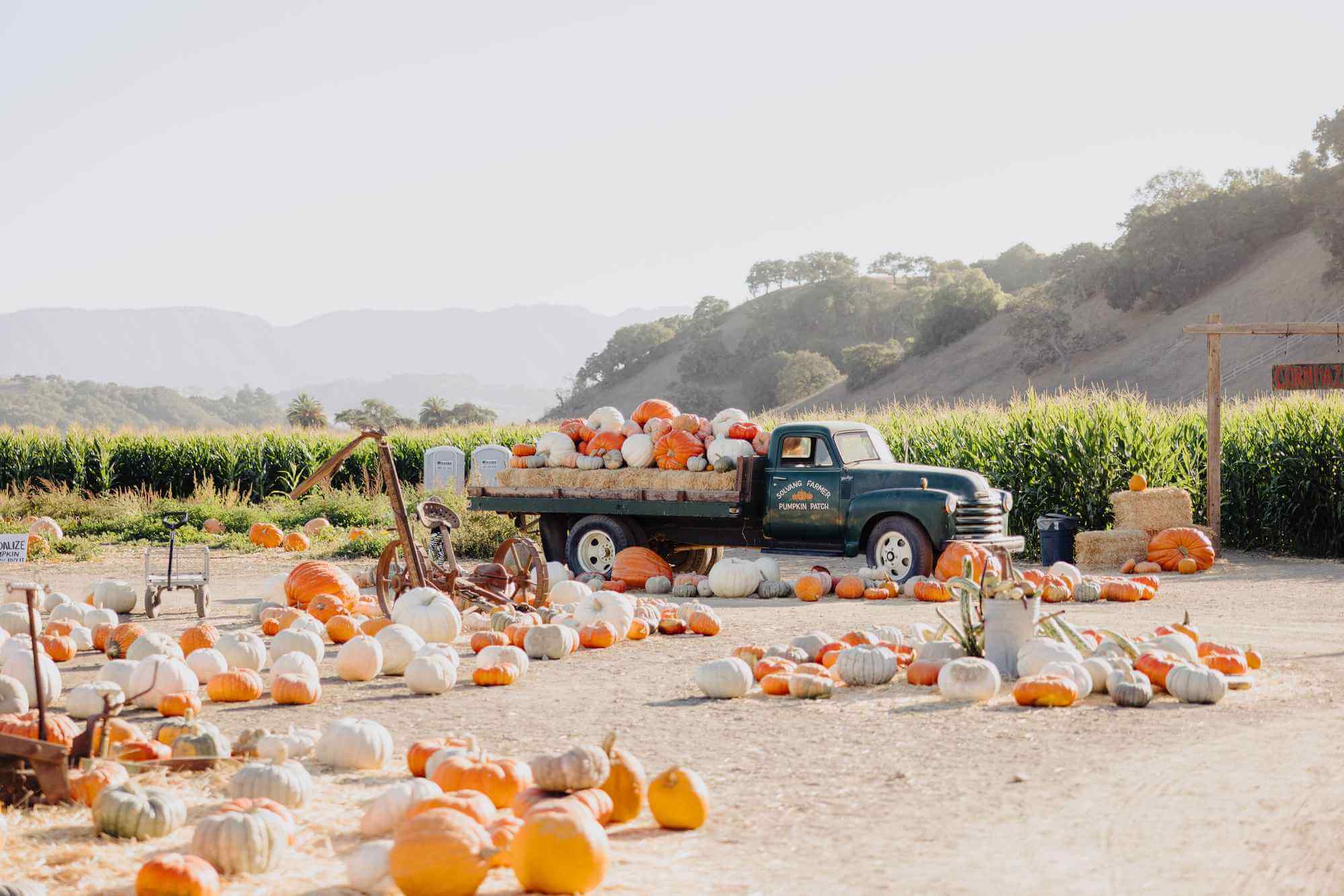 A Solvang Farmer Pumpkin Patch truck loaded with pumpkins and pumpkins on the ground around the truck.