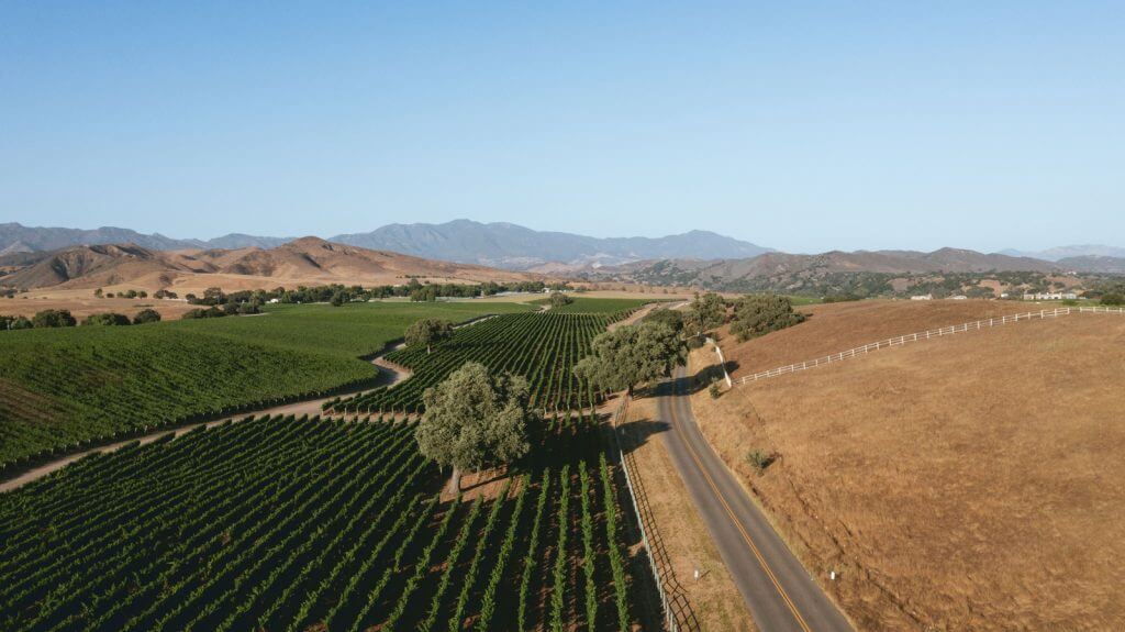 Sky view of vineyard in the Santa Ynez Valley