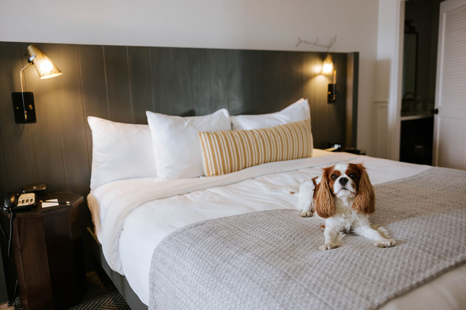 Taste of the Santa Ynez Valley Hotel Offers Small dog on bed in a guest room at The Landsby hotel