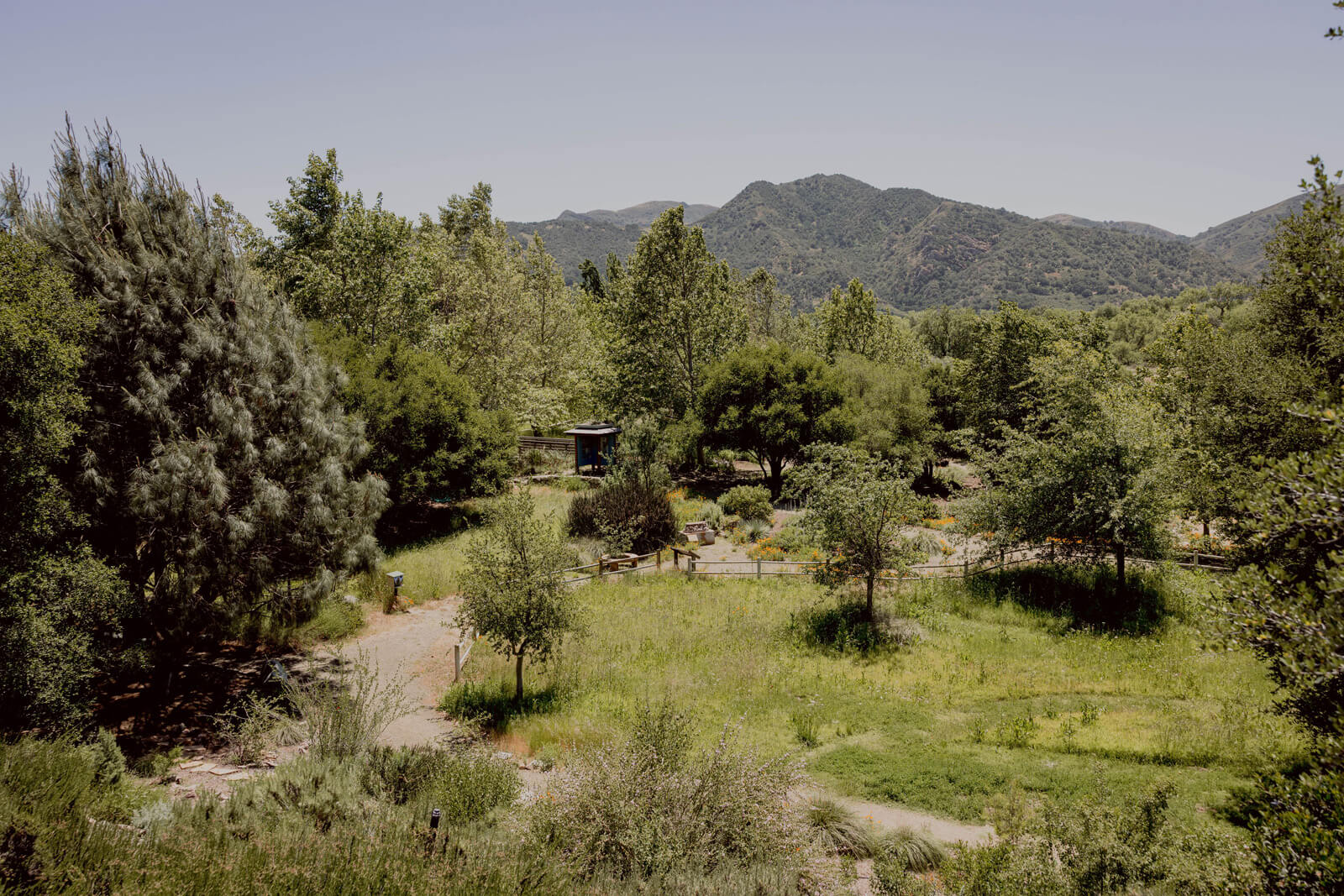 The Santa Ynez Valley Botanic Garden in Buellton, California