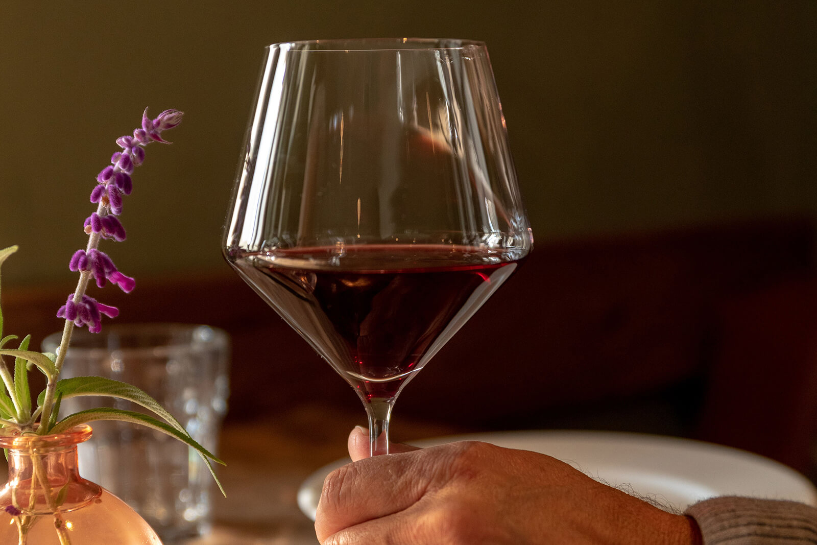 Hand holding wine glass