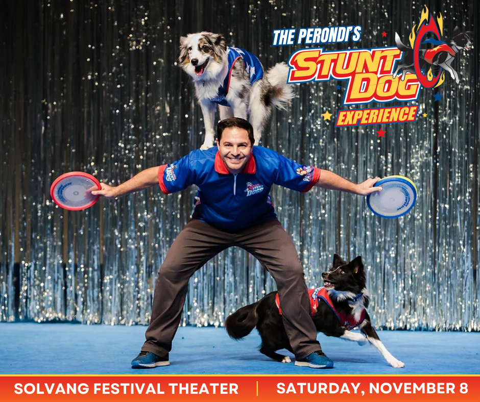Perondi's Stunt Dog Experience