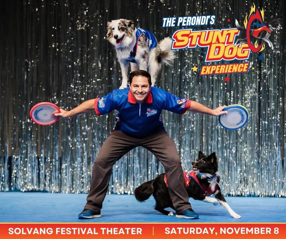The Perondi's Stunt Dog Experience