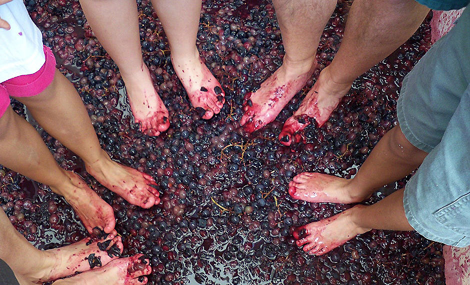 Industrial Wine Garden Grape Stomp