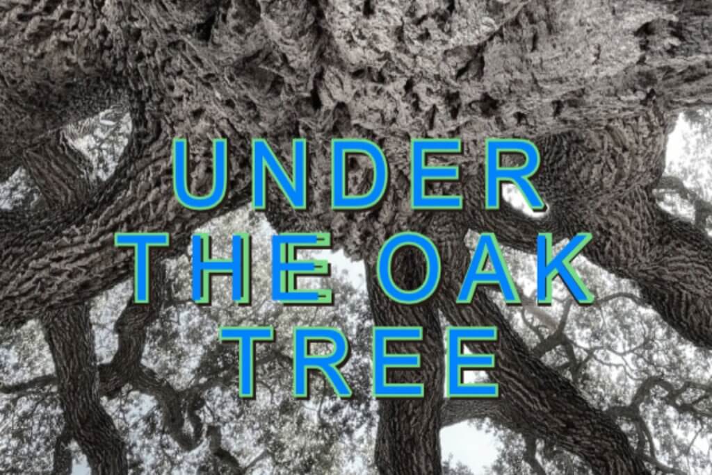 Wild-farmlands-Under-The-Oak-Tree live Music