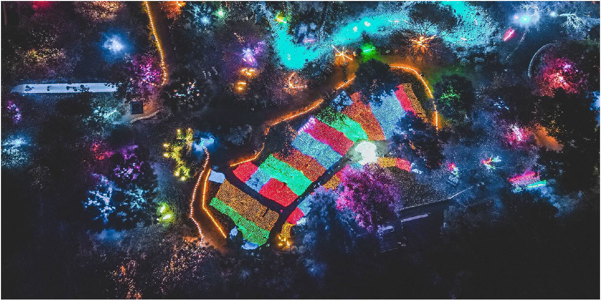 Holiday-lights-santa-ynez-valley-botanic-garden