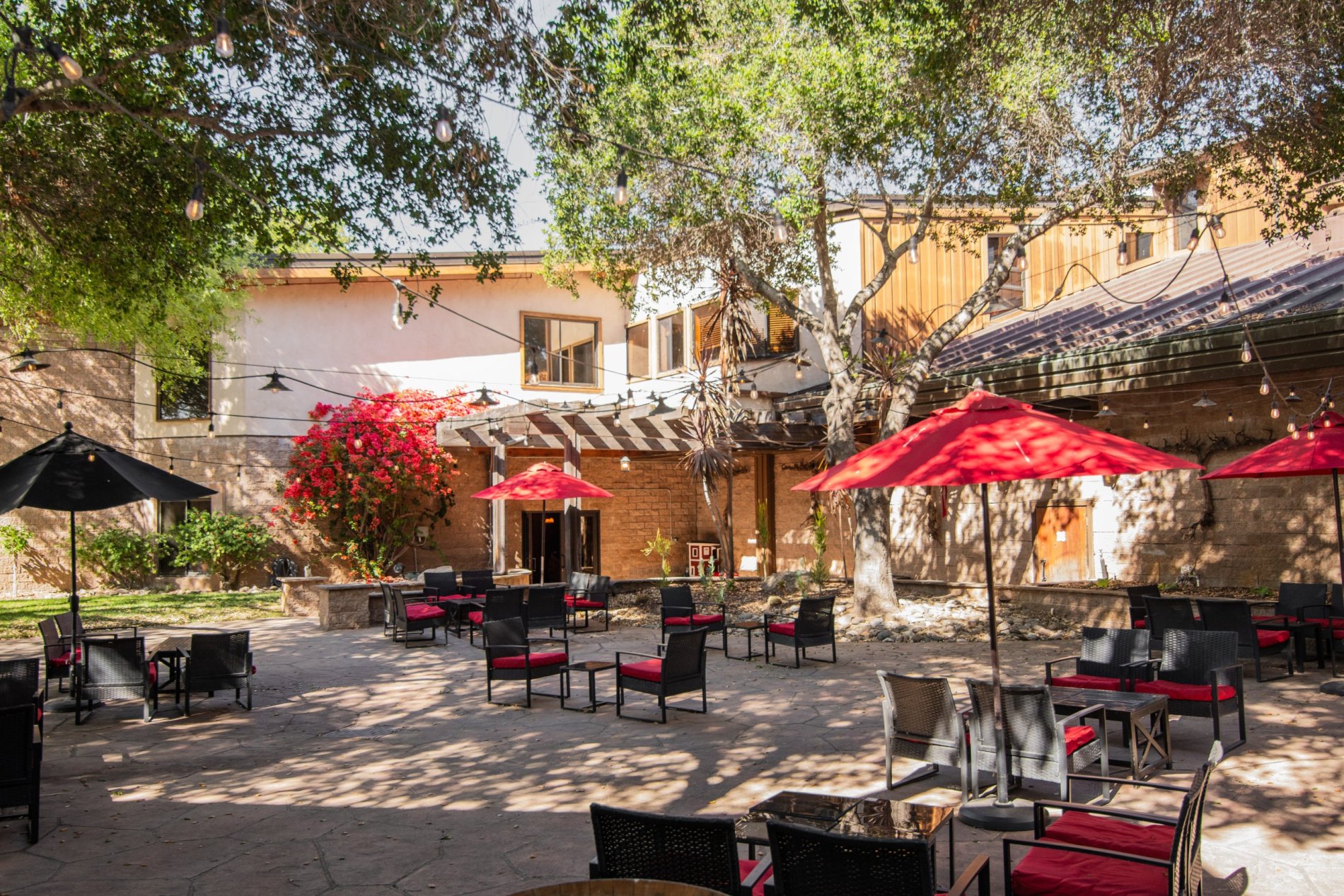 Firestone Winter Club